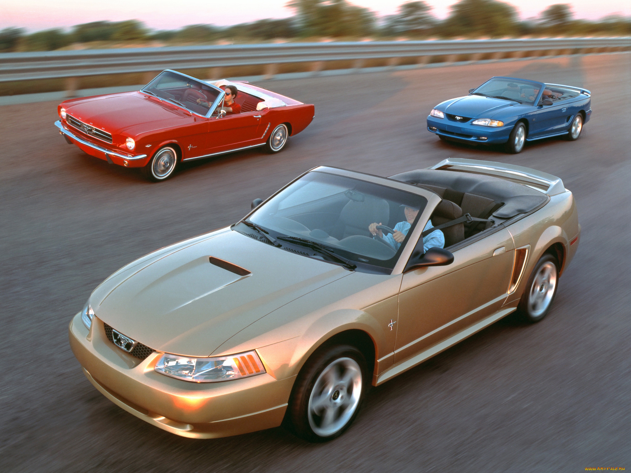 , mustang